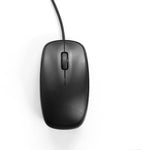 Computer Mouse